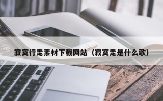 丰城寂寞行走素材下载网站（寂寞走是什么歌）