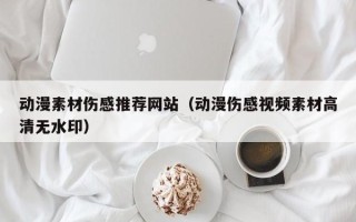 丰城动漫素材伤感推荐网站（动漫伤感视频素材高清无水印）